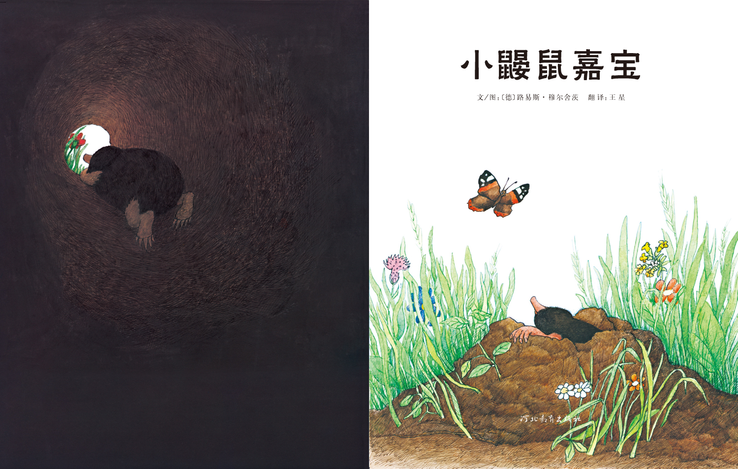 小鼹鼠嘉宝 (03),绘本,绘本故事,绘本阅读,故事书,童书,图画书,课外阅读